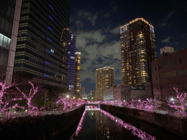 Top 5 tỉnh thành phố có mức Lương vùng tối thiểu cao Nhất tại Nhật Bản