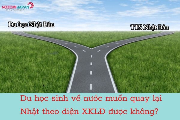 du-hoc-sinh-ve-nuoc-muon-quay-lai-nhat-theo-dien-xklđ-duoc-khong1