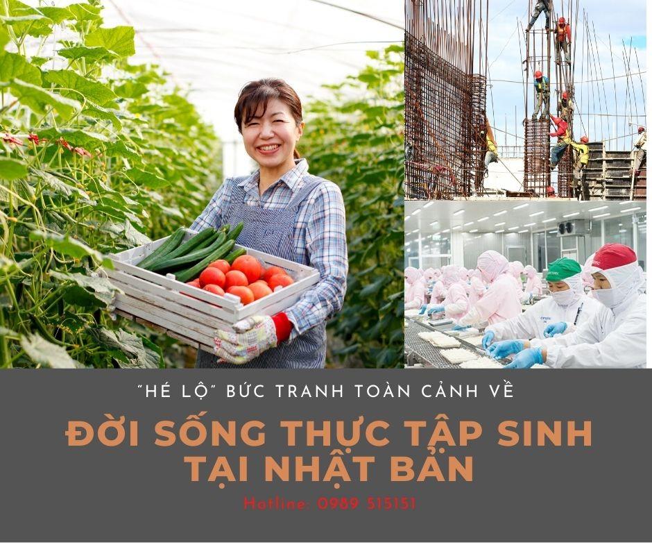 Hé lộ” bức tranh toàn cảnh về đời sống thực tập sinh tại Nhật Bản Hé lộ” bức tranh toàn cảnh về đời sống thực tập sinh tại Nhật Bản