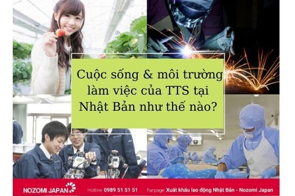 cuoc-song-va-moi-truong-lam-viec-cua-tts-tai-nhat