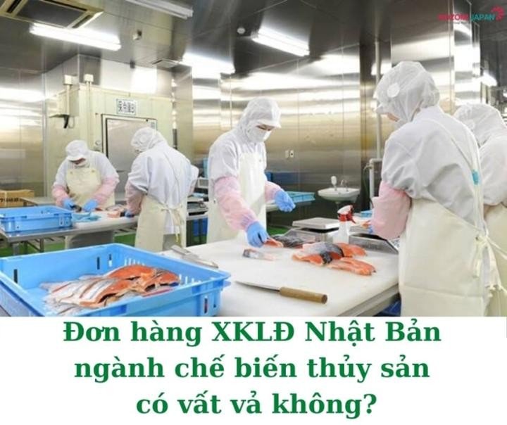 Đơn hàng chế biết Thủy Sản Nhật bản có vất không?