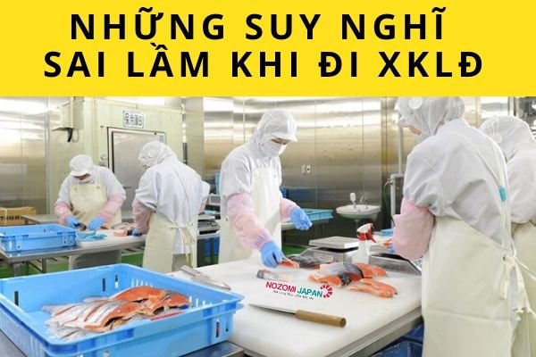 nhung-suy-nghi-sai-lam-khi-di-xuat-khau-lao-dong-nhat-ban