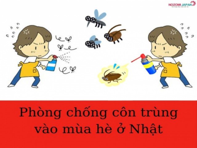 Phòng chống côn trùng vào mùa hè ở Nhật